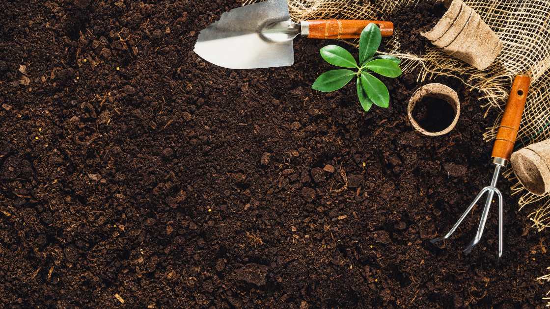 Mastering the Art of Weed Control: How to Deweed Your Garden