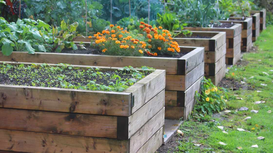 how-to-fill-a-raised-garden-bed