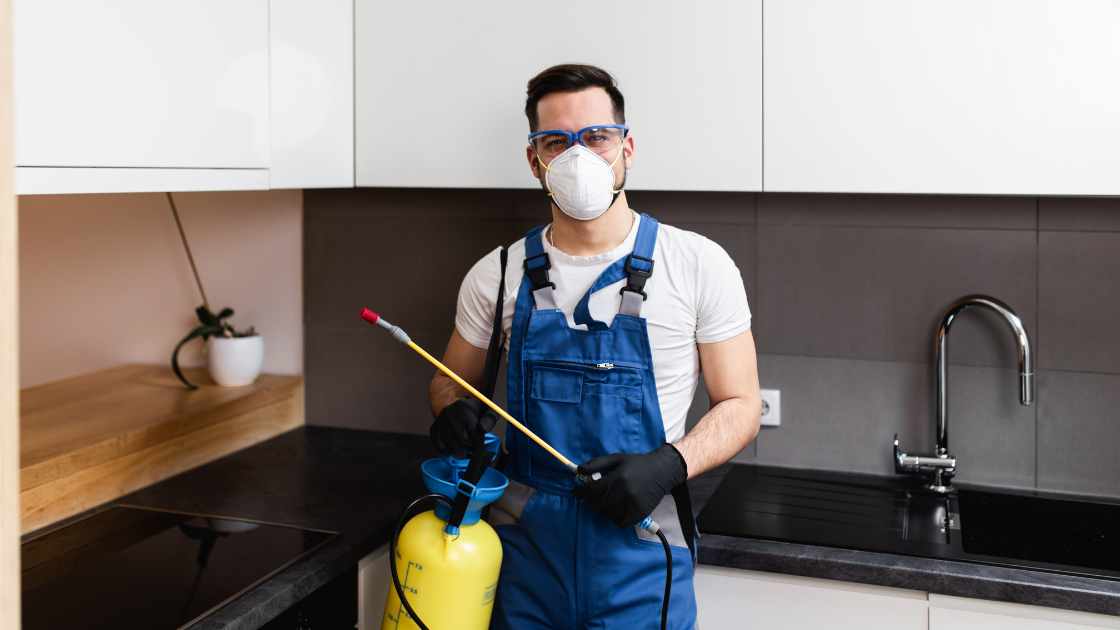 Guide: How to Obtain a Pest Control License