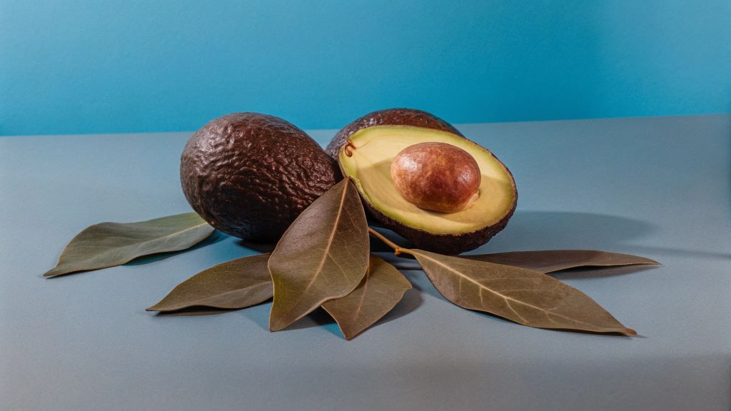 Benefits of the 37 Compounds Found in the Avocado Leaf