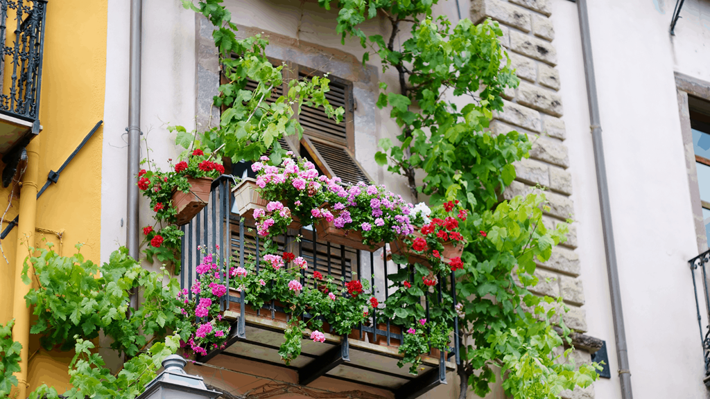 Vertical Garden Ideas