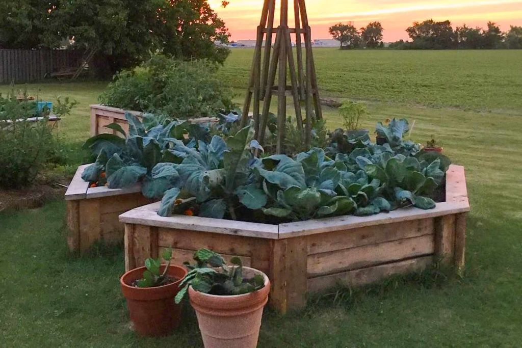 Is it expensive to build a keyhole garden?